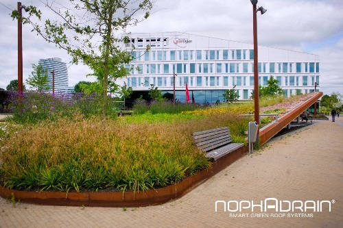 PROJECT-NOPHADRAIN-EXTENSIVE-GREEN-ROOF-SYSTEM.1506062452.7626